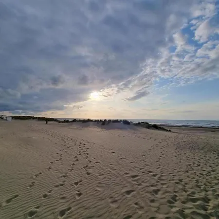 In Near The דירה *