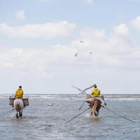 Apartment In Near The *