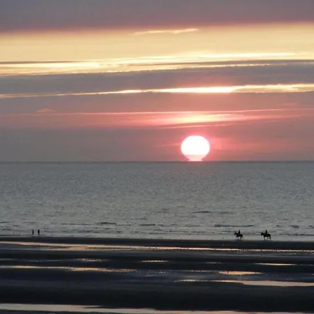 Apartment In Near The *