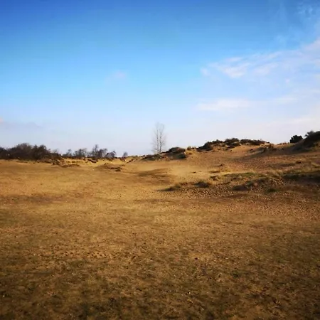 In Near The Apartment Oostduinkerke