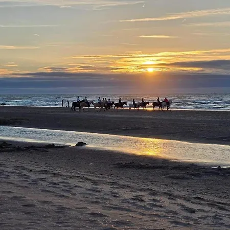 In Near The דירה